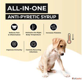 Buy Fev Pet Ayurvedic Fever Medication For Dogs and Cats