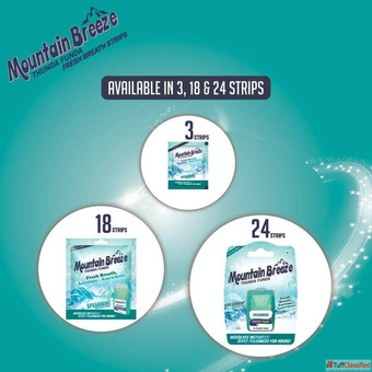 Instant Freshness Mountain Breeze SugarFree Spearmint Fresh Breath Strips