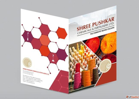 Top Features of an Innovative Brochure Design