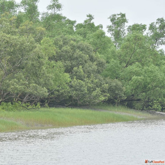 Sundarban Tour Package
