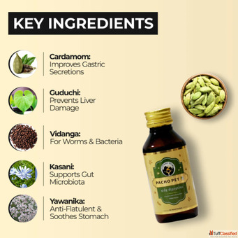 Buy Ayurvedic Digestion Syrup For Dogs and Cats