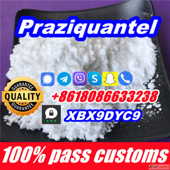 Praziquantel powder buy online no customs issues