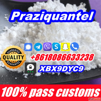 Praziquantel powder buy online no customs issues