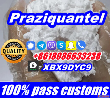 Praziquantel powder buy online no customs issues