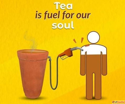 Buy Top 10 Leaf Nilgiri Teas 2024 Online