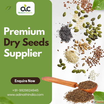 Indias Best Wholesaler and Supplier of Dry Farming Seeds