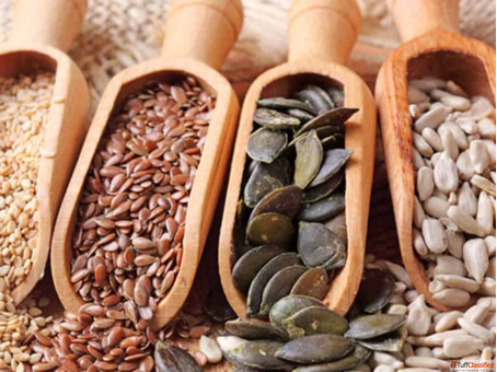 Indias Best Wholesaler and Supplier of Dry Farming Seeds