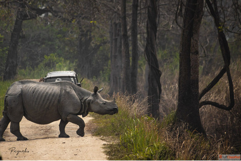 Get Kaziranga Holiday Packages 40 Off