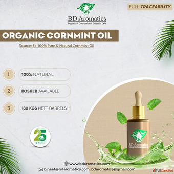Benefits of Natural Menthol B D Aromatics Pvt Ltd