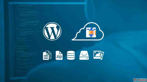 Bizmolecules Best Platform for consulting about how to grow business online