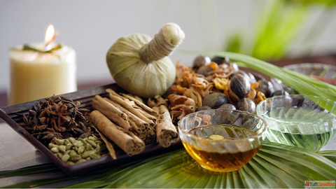 Explore Authentic Ayurvedic Health Resort in Kerala India Back to Roots Ayurveda