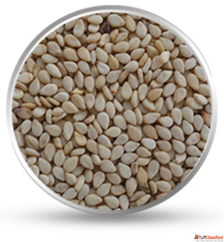 Discover Natures Bounty Premium Indian Spices amp Seeds by Hydrocolloids India