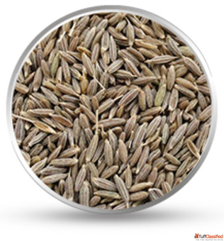 Discover Natures Bounty Premium Indian Spices amp Seeds by Hydrocolloids India