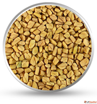 Discover Natures Bounty Premium Indian Spices amp Seeds by Hydrocolloids India