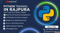 Python Training in Rajpura Erginous Technologies