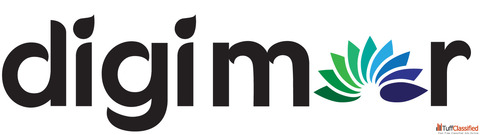 Local SEO Services In Mumbai - DigiMor