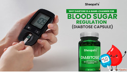 Best Ayurvedic Diabetes Capsule for Blood Sugar Management