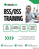 Telecom Oss Bss Training