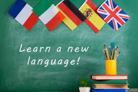 Learn German Language in Jaipur