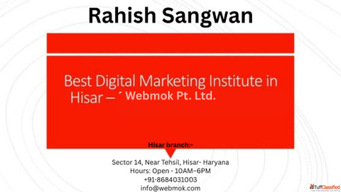 Professional Digital marketing institute in Hisar Haryana