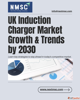 UK Induction Charger Market