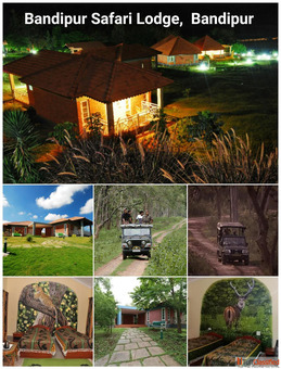 Bandipur Safari Lodge