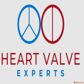 What to Expect When Visiting a Top Cardiologist - Heart Valve Experts