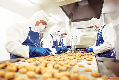 Food Safety Certificate