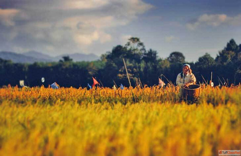 Arunachal Pradesh Tour Package from Ahemdabad