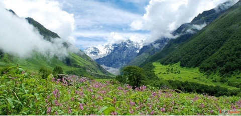 Arunachal Pradesh Tour Package from Ahemdabad