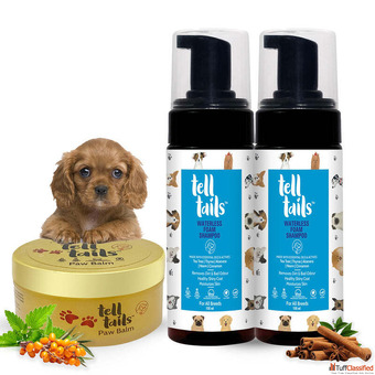 Buy Best Waterless Kit Shampoo Paw Balm For Dogs Online By Telltails