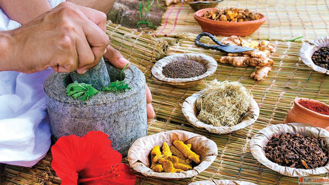 Which Brand Provides the Best Ayurvedic Franchise in India