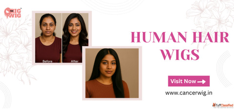 Human Hair Wigs