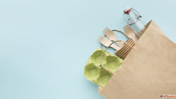 Get 100 Compostable Plastic Bags in Warangal - Fast Delivery