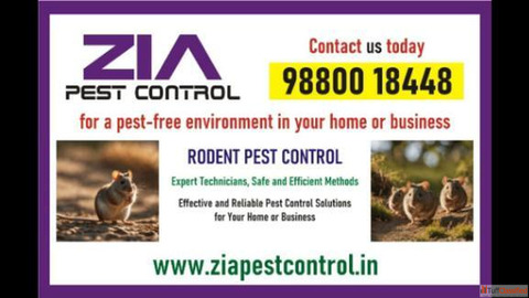 Rodent Control Restaurent and Residence pest servise Paying guest 8082