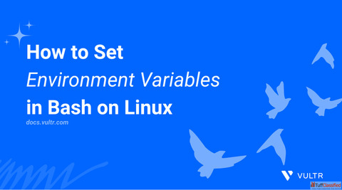Step-by-Step Tutorial for Bash Environment Variables on Linux
