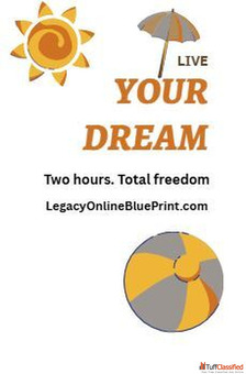 Make 10K This Summer - Simple Online Gig 2 Hrs a Day