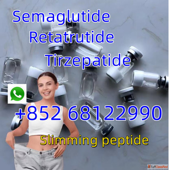 852 68122990 China Lose Weight Peptides Retatrutide CAS 2381089-83-2 Manufacturers Factory