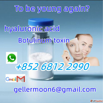 852 68122990 High quality high purity factory direct sales of hyaluronic acid Botulinum toxin