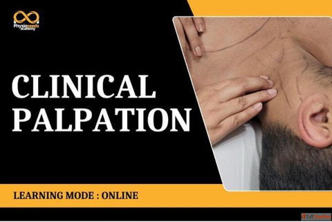 Clinical Palpation Online Course - Certified Practitioner Training