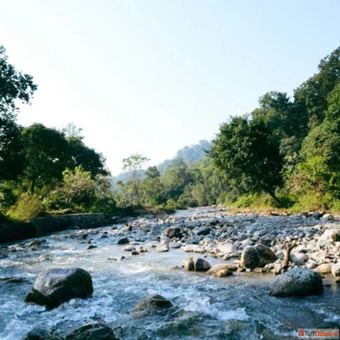 Discover the Wilderness of Bijrani Zone Corbett National Park with Jungle Safari Corbett