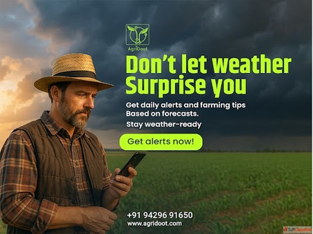 Boost Crop Yield with Accurate Weather Forecast Agriculture App