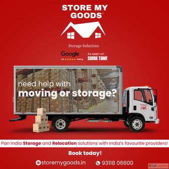 professional packers and movers