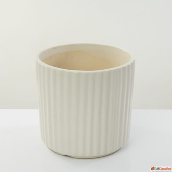 Bring Home This Elegant White Striped Planter for a Classy Green Touch