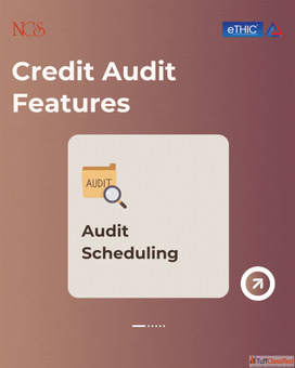 Reimagining Credit Audits for Better Risk Control