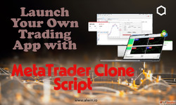 MT4MT5 Clone Script for Sale