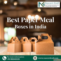 Best Paper Meal Boxes in India