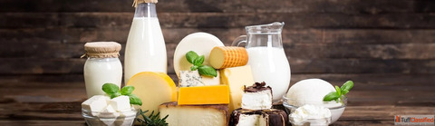 Hygienic Dairy Pumps for Efficient Processing - Fristam India