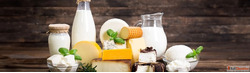 Hygienic Dairy Pumps for Efficient Processing - Fristam Indi...