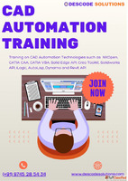 Best CAD Automation Course Training